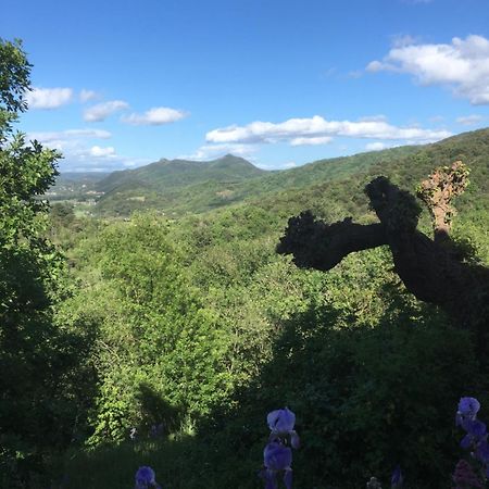 La Petite Adresse De Rose Maison De Vacances Entree Autonome Le Poujol-sur-Orb 外观 照片