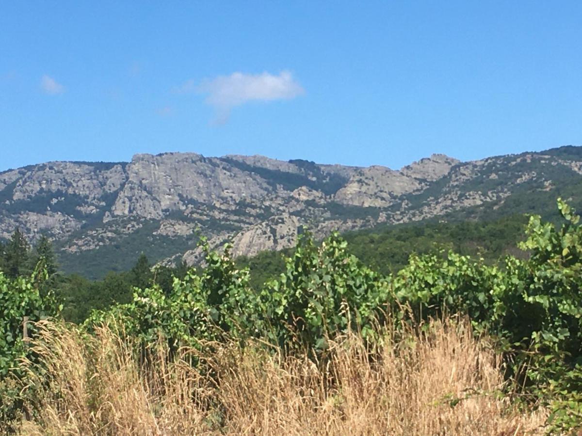 La Petite Adresse De Rose Maison De Vacances Entree Autonome Le Poujol-sur-Orb 外观 照片