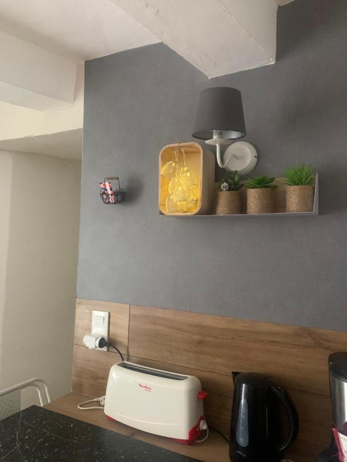 La Petite Adresse De Rose Maison De Vacances Entree Autonome Le Poujol-sur-Orb 外观 照片