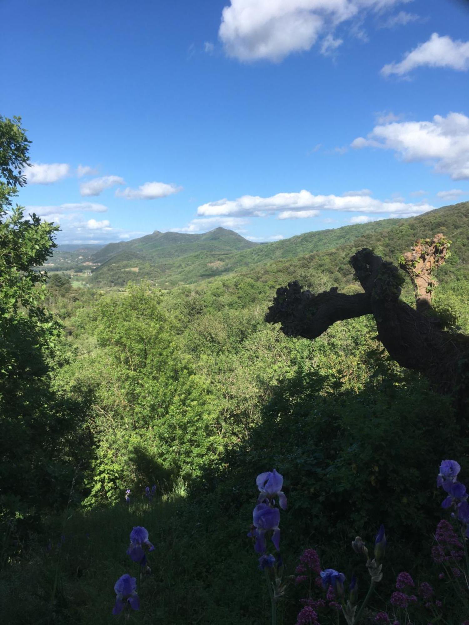 La Petite Adresse De Rose Maison De Vacances Entree Autonome Le Poujol-sur-Orb 外观 照片